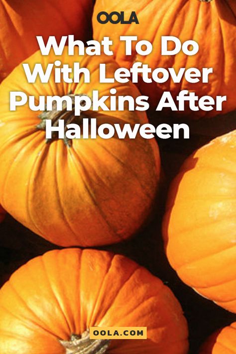 Halloween Pumpkin Recipes, Creative Pumpkin Carving Ideas, Pumpkin Pasta Sauce, Healthy Halloween Food, Pumpkin Ale, Leftover Pumpkin, Large Pumpkins, Creative Pumpkin Carving, Pumpkin Painting Ideas