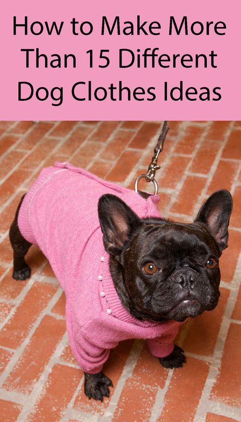 Diy Dog Clothes, Diy Dog Sweater, Dog Clothes Patterns Sewing, Dog Coat Pattern, Dog Sewing Patterns, Coat Check, Luxury Dog Collars, Dog Clothes Diy, Designer Dog Collars