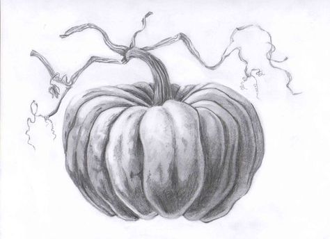 Pumpkin Drawing Ideas, Vegetable Drawing, Pumpkin Tattoo, Fall Drawings, Pumpkin Drawing, Fruits Drawing, Charcoal Drawings, Drawing Faces, Charcoal Art