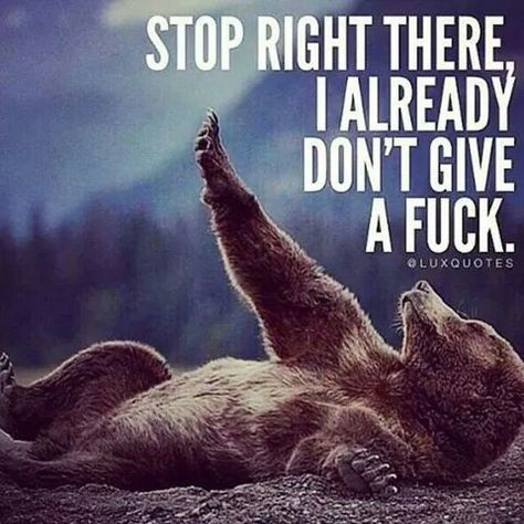 stop right there I already don't give a f***. Tuesday Humor, Bad Vibes, Badass Quotes, Twisted Humor, Favorite Words, Laughing So Hard, Sarcastic Humor, Sarcastic Quotes, A Quote