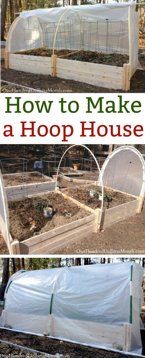 Diy Hoop House, Poly Tunnel, Garden Cloche, Hoop House, Hydroponic Farming, Hydroponics Diy, Portable Greenhouse, Cottage Rose, Hydroponic Growing