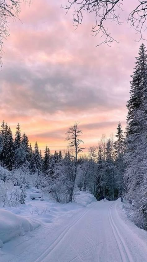 Snow Asthetics Photos, Winter Aesthetic Nature, Profile Picture Winter, Winter Athstetic, Aesthetic Winter Photos, Winter Asthetics Photos, Winter Core Aesthetic, Widgets Winter, Winter Season Aesthetic