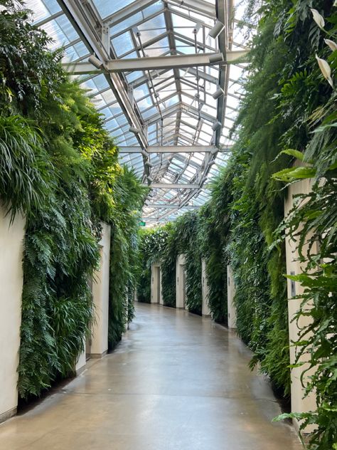 Long Wood Gardens Pa, Flower Shop Design, Privacy Landscaping, Engagement Pic, Longwood Gardens, Photoshoot Idea, Garden Guide, Green Home Decor, Garden In The Woods