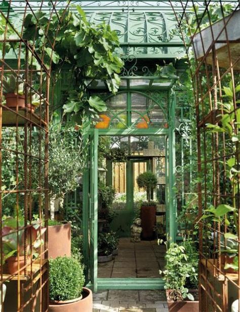 Conservatory Greenhouse, Conservatory Garden, Small Greenhouse, Greenhouse Plans, Garden Greenhouse, Greenhouse Gardening, Green House, Glass House, Garden Shed