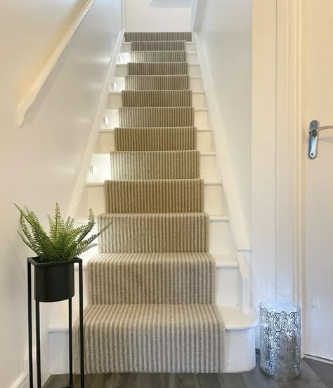 30 Best Stair Runner Ideas For a Quick Staircase Transformation Stair Runner Ideas, Striped Stair Runner, Carpet Staircase, Narrow Staircase, Staircase Runner, House Staircase, Narrow Hallway Decorating, Stair Remodel, Staircase Decor