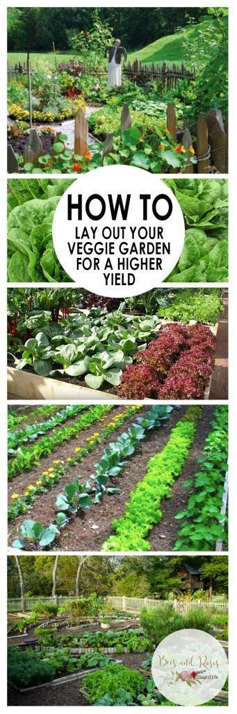 Gardening Tips And Tricks, Flower Tips, Garden Layout Vegetable, Simple Garden, Vegetable Garden Planning, Gardening Hacks, Garden Veggies, Gardening 101, Garden Types