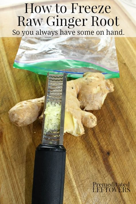 How to Freeze Raw Ginger Root - You can freeze fresh ginger to prevent it from going bad. Frozen ginger keeps in the freezer for up to 6 months. You can grate it while frozen and add the grated ginger directly to recipes. Can You Freeze Ginger Root, How To Preserve Fresh Ginger Root, Freezing Ginger, Storing Fresh Ginger, Freeze Herbs, Freezing Food Guide, Freeze Food, Raw Ginger, Freezing Fruit