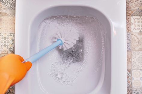 How to Clean a Toilet Brush and Holder Best Toilet Bowl Cleaner, Leaking Toilet, Replace Toilet, Clean Toilet, Bleach Pen, Cleaning Buckets, Housekeeping Tips, Bucket Filling, Toilet Brushes And Holders