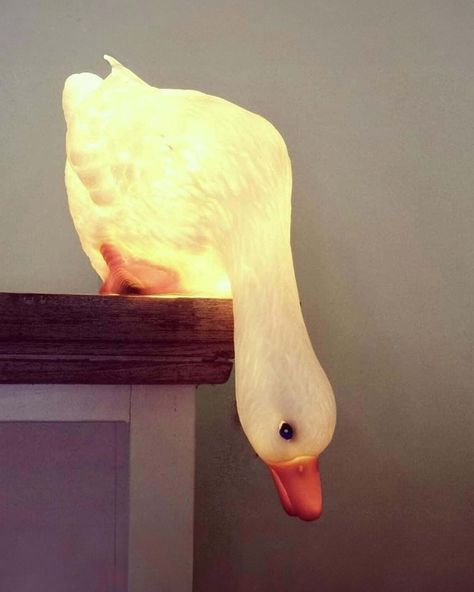 lit white duck looking down lamp Dream World, Decoration Piece, The Duck, Oui Oui, Fall Asleep, The Ranch, Girl's Room, Childrens Room, Soft Lighting