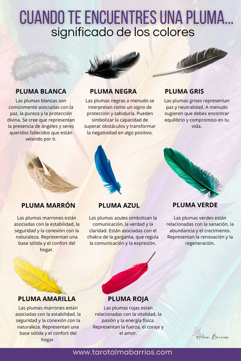 En este artículo, exploraremos el significado espiritual de los diferentes colores de las plumas que podrías encontrar. #plumas #mensajesespirituales Magic Crafts, Magick Book, Animal Symbolism, Witchy Crafts, Soft Girl, Reiki, Chakra, Feathers, Witch