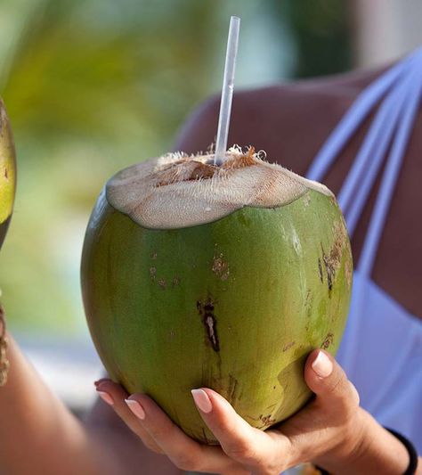 Is Coconut Water Good For Weight Loss Water Benefits For Skin, Coconut Water Smoothie, Coconut Water Benefits, Air Kelapa, Water Benefits, Coconut Health Benefits, Bora Bora, Tropical Islands, Coconut Water