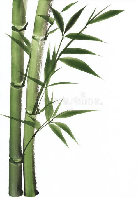 Bamboo Art Painting, Bamboo Tattoo, Bamboo Stalks, Tropical Painting, Bamboo Art, Art Watercolor Painting, Small Art Prints, Free Art Prints, Plant Art