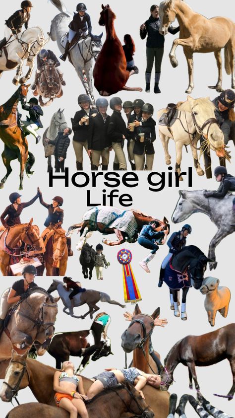 #horsegirl #sports #equestrain #horse Horseback Riding Aesthetic, English Horseback Riding, Horse Girl Aesthetic, Riding Aesthetic, Equestrian Memes, Horsey Life, Horse Riding Quotes, Horse Riding Outfit, Equestrian Aesthetic