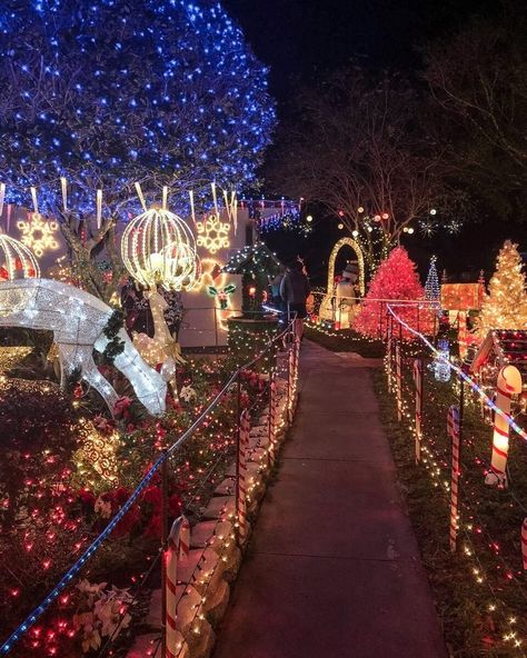 The Garden Grove Christmas lights are some of the best in Central Florida. For more tips about what to see and do at Christmas in Orlando, check out this guide by a local.  #orlando #florida #christmas #floridatravel | Christmas in Orlando | Orlando things to do in | Christmas events Orlando | Orlando vacation tips | Disney travel tips | things to do in Orlando with kids | family vacation Florida | free things to do in Orlando | Orlando Florida secrets | Orlando Florida winter Christmas In Orlando Florida, Florida Winter Aesthetic, Things To Do In Christmas, Orlando With Kids, Christmas In Florida, Christmas Florida, Orlando Christmas, Christmas Travel Destinations, Winter In Florida