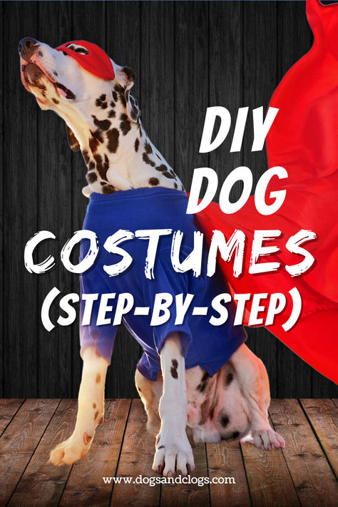 Make your pup the star of any event with these adorable DIY dog costumes! 🎭🐶 Follow these easy step-by-step guides to create fun, budget-friendly outfits. Save this pin for creative costume ideas you can make at home! Creative Costume Ideas, Friendly Outfits, Creative Costume, Diy Dog Costumes, Creative Costumes, Dog Costumes, Dog Parents, New Dog, Diy Dog