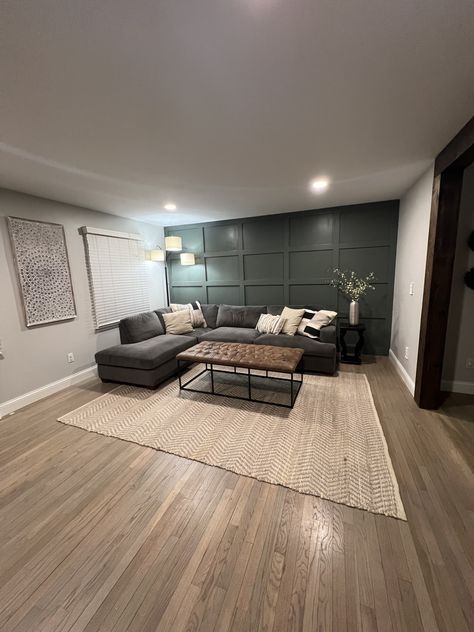 Grey Room With Green Accent Wall, Light Grey Wall With Accent Wall, Pewter Green And Agreeable Gray, Agreeable Grey Living Room Ideas, Accent Wall Color With Agreeable Gray, Gray And Green Walls, Gray Walls With Green Accent Wall, Living Room Paint Color Ideas With Gray Furniture, Grey Couch Basement Ideas