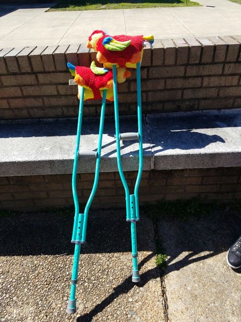 Crutches Diy, Pet Diy, Crutches, Fall Ideas, Diy Stuffed Animals, Animal Pillows, Strawberry Shortcake, Spray Paint, Candy Cane