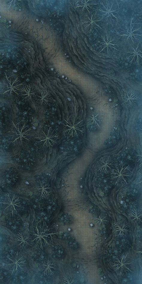 Foggy Forest Valley [30x60] Gridless included : battlemaps Forest Valley, Forest Map, Fantasy City Map, Dnd World Map, Map Making, Fantasy Town, Tabletop Rpg Maps, Map Pictures, Rpg Map