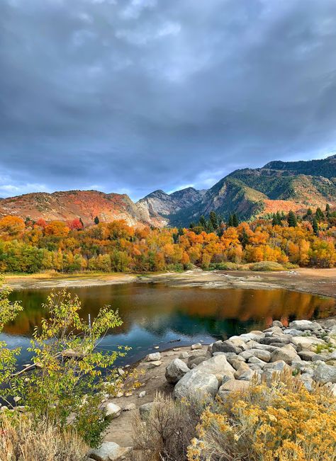 Fall colors in Bells Canyon Salt Lake City UT USA- ThorGift.com - If you like it please buy some from ThorGift.com Fall In Utah, Salt Lake City Aesthetic, Salt Lake City Utah Aesthetic, 80s Mercedes, Salt Lake City Photography, Pjo Books, Alta Utah, Utah Fall, Travel Utah