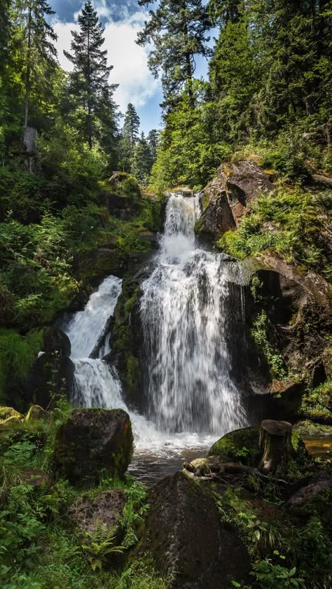 Waterfall In Forest Aesthetic, Waterfall Astethic, Forest Waterfall Aesthetic, Waterfall In Forest, Waterfall Forest, Beautiful Paintings Of Nature, Photos Of Nature, Forest Waterfall, The Black Forest