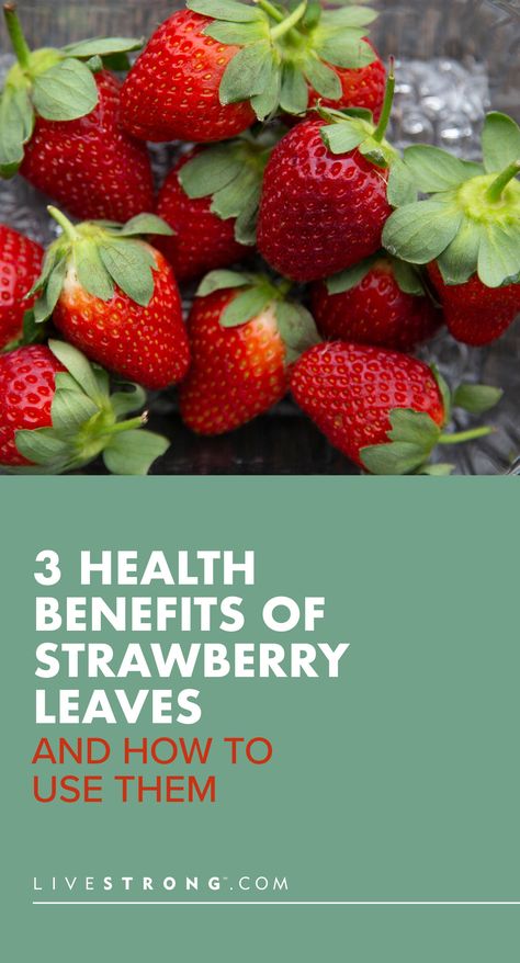 Benefits Of Strawberries, Strawberry Benefits, Shed Inspiration, Strawberry Health Benefits, Strawberry Leaves, Strawberry Powder, Strawberry Tea, Herbal Plants, Growing Strawberries