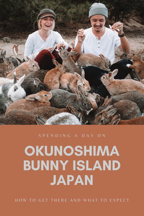 Rabbit Island Japan, Bunny Island Japan, Okunoshima Island, Bunny Island, Rabbit Island, Japan 2023, Tokyo Japan Travel, Asia Trip, Japan Travel Tips