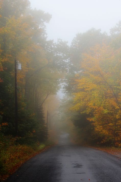 Nostalgic Autumn, Cold Autumn, Midwest Fall, Foggy Fall Aesthetic, Foggy Aesthetic, Misty Autumn Aesthetic, Fall Foggy Morning, Foggy Fall Vibe, Foggy Autumn Forest