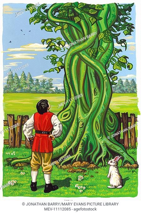 Jack and the Beanstalk, Stock Photo, Picture And Rights Managed Image. Pic. MEV-10611444 | agefotostock Jack And The Beanstalk Drawing, Beanstalk Drawing, Jack In The Beanstalk, Fairy Stories, Jack And The Beanstalk, Tom Thumb, Photo Library, Stock Pictures, The Sky