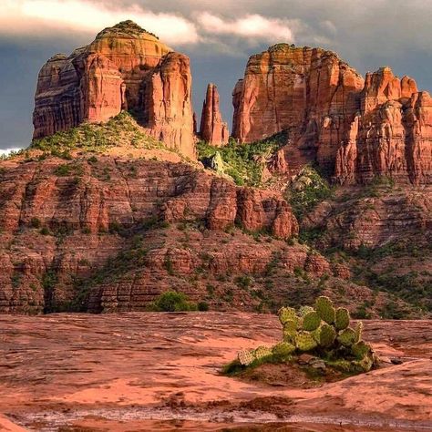 Cathedral Rock (Sedona) - 2021 All You Need to Know BEFORE You Go (with Photos) - Tripadvisor Cathedral Rock Sedona, Cathedral Rock, Arizona Travel, Sedona Arizona, The Cathedral, Red Rock, Dieselpunk, Sedona, Monument Valley