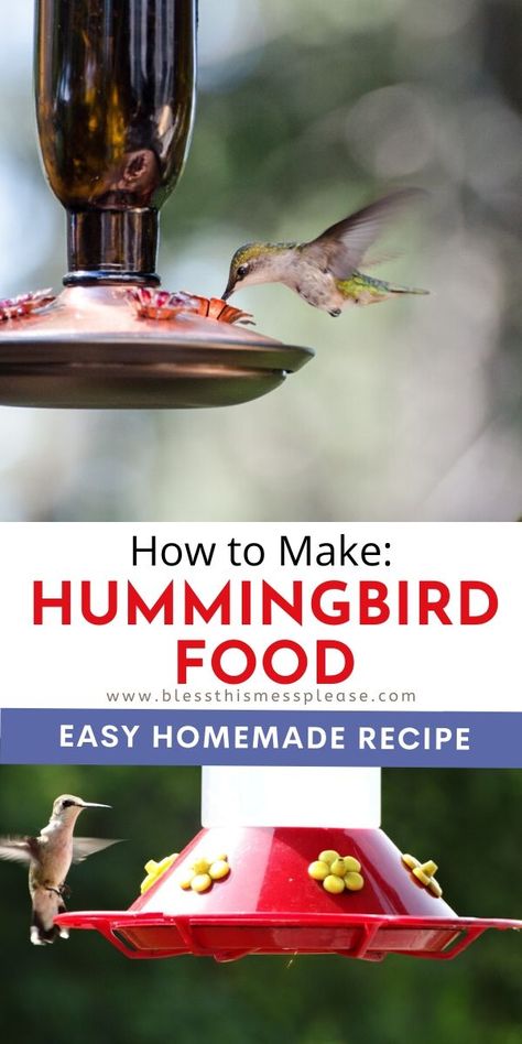 Attract beautiful hummingbirds to your backyard or garden with this simple homemade hummingbird food recipe! #hummingbirds #hummingbirdfood #hummingbirdfoodrecipe #hummingbirdfeeder Hummingbird Food Recipe, Make Hummingbird Food, Homemade Hummingbird Nectar, Homemade Hummingbird Food, Hummingbird Nectar Recipe, Hummingbird Food, Hummingbird Nectar, Glass Hummingbird Feeders, Hummingbird Feeder