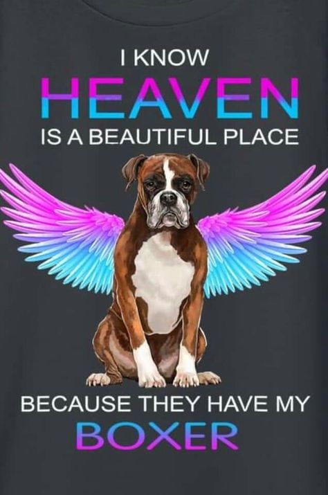 Boxer Memes, Boxer Dog Quotes, Boxer Dog Tattoo, Boxer Breed, Miss My Dog, Brindle Boxer, Boxer Dogs Art, Boxer Mom, Boxer And Baby