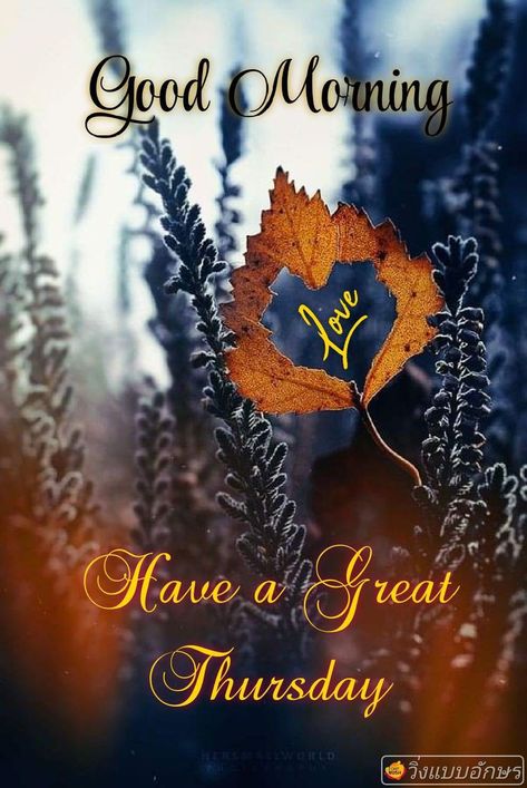 Fall Good Morning, Happy Thursday Pictures, Happy Thursday Morning, Happy Thursday Images, Thursday Greetings, Good Morning Happy Thursday, Good Thursday, Happy Thursday Quotes, Good Morning Thursday