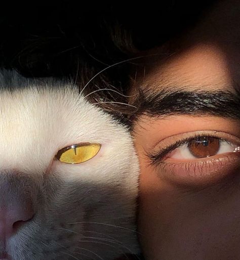 Get Sharp Jawline, Get A Sharp Jawline, Jawline Tips, Sharp Jawline, Brown Eyes Aesthetic, Men With Cats, Boy Blurred Pic, Drawing People Faces, Portrait Photography Men