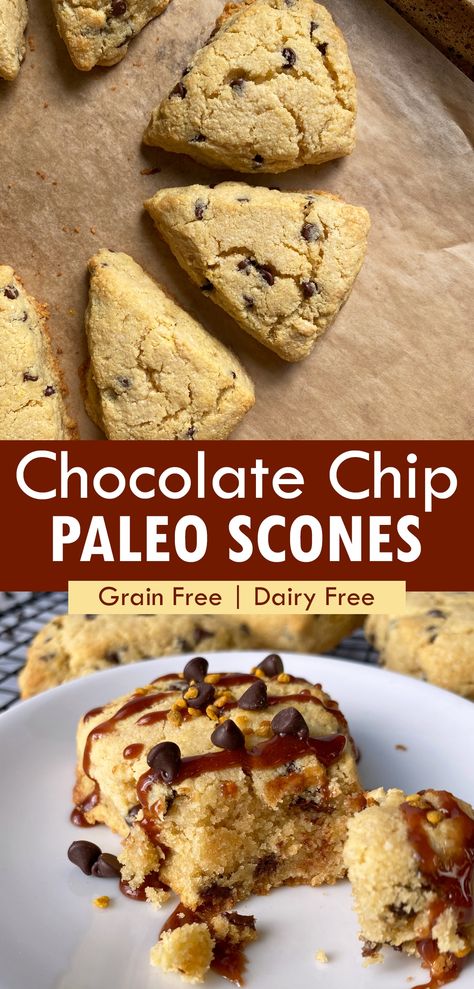 These Paleo chocolate chip scones are made with almond flour, gluten free, grain free and dairy free (no cream). This easy chocolate chip scones recipe is perfect for brunch, breakfast or dessert! #paleoscones #chocolatechipscones #almondflour #scones Habits 2024, Paleo Scones, Moms Food, Paleo Breads, Chocolate Chip Scones, Df Recipes, Paleo Recipies, Paleo Dinners, Candida Diet Recipes