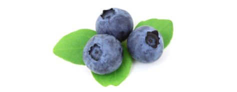 Ingredients of All-Natural Blueberries Blueberry Plant, Anti Aging Food, Human Food, Banana Blueberry, Coloured Pencils, Photo Reference, Fruit Trees, Superfoods, Blueberries