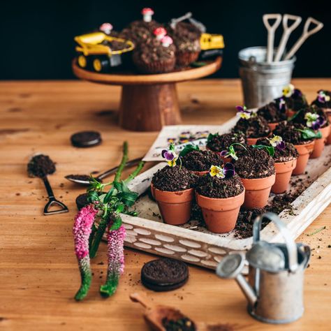 Make Your Own Dirt Cup Bar, Dirt Cake In Flower Pot, Dirt Cup Dessert, Garden Birthday Cake Ideas, Mini Dirt Cake Cups, Dirt Cake Cupcakes, Spring Bake Sale Ideas, Dirt Cake Cups, Dirt Cups Dessert