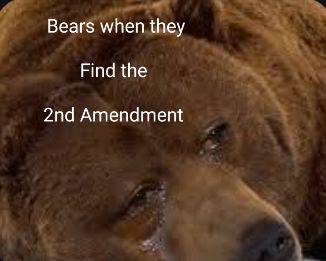 You have a right to bear arms, don't let any bear apologist tell you otherwise🇺🇸🇺🇸🇺🇸🇺🇸🇺🇸🦅🦅🦅🦅🦅🦅🦅🐻🐻🐻🐻🐻🔫🔫🔫🔫🔫🇺🇲🇺🇲🇺🇲🇺🇲🇺🇲🗽🗽🗽🗽✝️✝️✝️✝️(edit-Fazbear Entertainment is in shambles) Don't Let, Entertainment, Memes, Pins