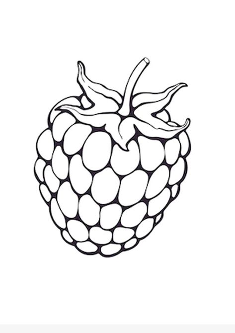 Download and Print Raspberry Fruit Coloring Page for Kids Fruit Line Art, Fruit Coloring, Fruit Sketch, 30 Day Art Challenge, Fruit Poster, Fruit Tattoo, Wrist Tattoo Designs, Fruit Coloring Pages, Fruits Drawing