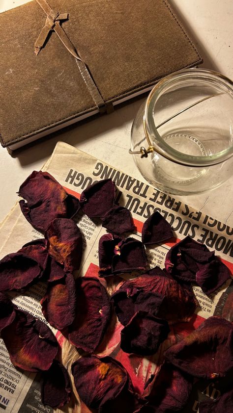 dried rose aesthetic romantic rose petals old bouquet love journal lover girl aesthetic romantic romance book date Dried Rose Petals Aesthetic, Wilted Rose Aesthetic, Dried Rose Aesthetic, Rose Petal Aesthetic, Dried Roses Aesthetic, Rose Petals Aesthetic, Old Romance Aesthetic, Lover Girl Aesthetic, Rose Bouquet Aesthetic