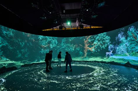 Circle of life on Behance 3d Projection Mapping, Dubai Aquarium, Roanoke Island, Museum Exhibition Design, Aquarium Design, Artist Collective, Projection Mapping, 3d Video, Museum Exhibition