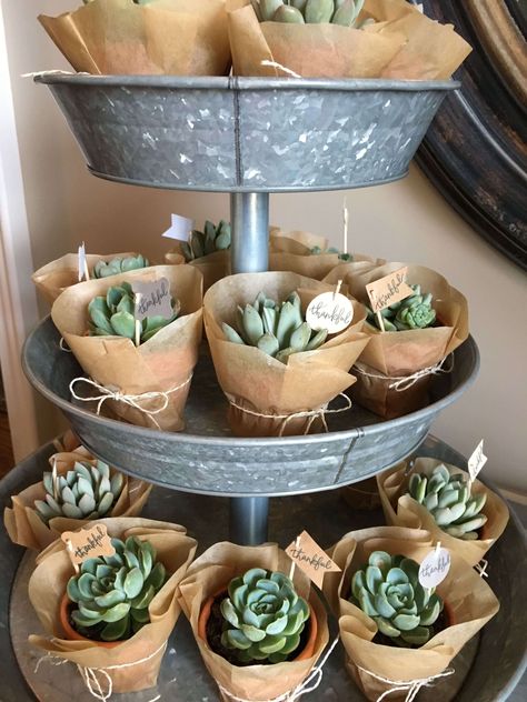 Succulent baby shower favor ideas Succulent Themed Bridal Shower Ideas, Woodland Bridal Shower Ideas, Cactus Bridal Shower Ideas, Succulent Themed Baby Shower Ideas, Boho Cactus Baby Shower Ideas, Let Love Grow Bridal Shower Theme, Succulent Bridal Shower Favors, Succulent Bridal Shower Ideas, Succulent Baby Shower Theme