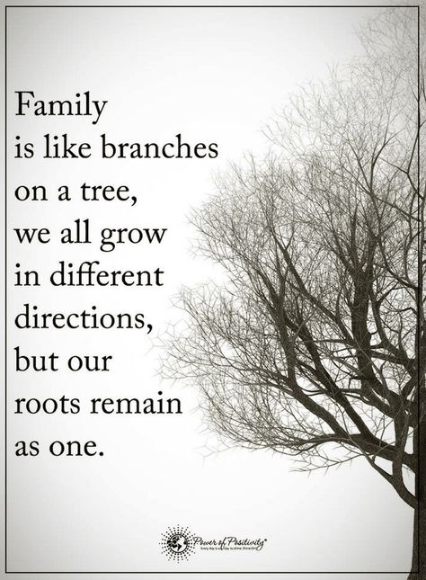 Quotes Family is like flowers in a pot, all have the same roots. Tattoo Quotes About Family, Roots Quotes, Family Quotes Tattoos, Quotes About Family, Tattoo Family, Family Motto, John 8 12, Family Poems, Power Of Positivity