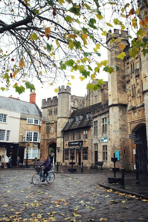 Wells, Somerset. England. @monalogue on Instagram. Wells Somerset, Life In The Uk, York England, Bath Somerset, Beautiful Library, Somerset England, Beautiful Villages, England Uk, Somerset