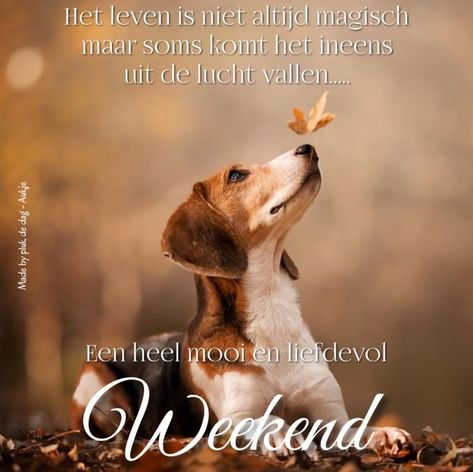 Weekend Greetings, Happy Weekend Quotes, Weekend Quotes, Hello Weekend, Good Evening, Happy Weekend, Good Night, Good Morning, Movie Posters