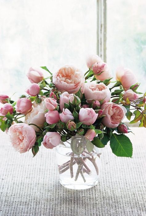 Perfectly pink! This arrangement incorporates both buds and blooms of 'The Generous Gardener' (AUSdrawn). Photo courtesy of David Austin Roses. #roses David Austin Roses, Colorful Roses, Deco Floral, English Roses, Arte Floral, English Garden, Beautiful Blooms, Ikebana, Cut Flowers