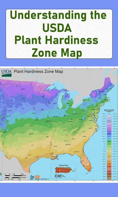 The USDA Plant Hardiness Zone helps gardeners, landscapers, and growers understand what plants will survive through the winter in a specific US location. Planting Zones Map, Front Yard Flowers, Yard Flowers, Plant Hardiness Zone Map, Climate Zones, Plant Zones, Zone 9, Pacific Nw, Island Park