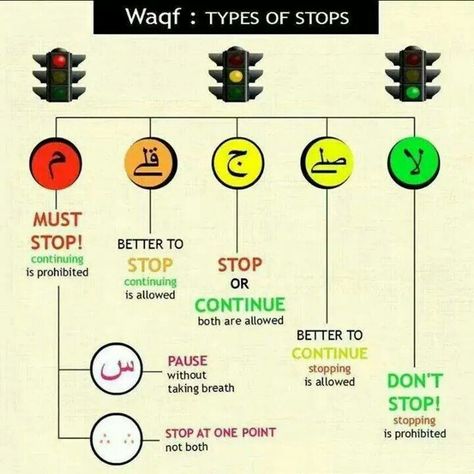 Stops & pauses in reading the Quran. Tajweed Quran, Arabic Lessons, Online Quran, Learn Arabic Language, Coran Islam, Islam Hadith, Learn Quran, The Quran, Quran Recitation