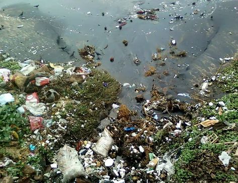 Water Pollution Facts, India Places, Energy Forms, Marine Pollution, Contaminated Water, Hazardous Waste, Victoria Harbour, Ocean Air, World Water