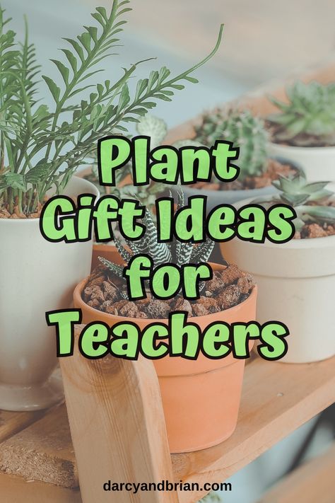 Discover the perfect way to show teachers gratitude with our inspiring guide to plant gifts! Find out how plants can symbolize growth and appreciation, alongside tips for personalizing your gift. Perfect for Teacher Appreciation Day, end-of-year thanks, or just because. Giving Plants As Gifts, Plant Gifts For Teachers, Teacher Plant Gift Ideas, Teacher Plant Gift, Plant Gift Ideas, Teacher Gifts End Of Year, Teacher Appreciation Gift Ideas, Gifts For Professors, Appreciation Gift Ideas