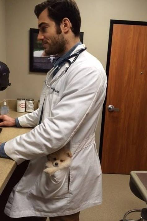 You may have heard of this veterinarian, since he's been taking over the Internet. Well, he's ours. #ColoradoState #RamGrad Vet Medicine, Vet School, Vet Student, Medical School Inspiration, Vet Med, Veterinary Technician, Clinic Design, Future Jobs, Veterinary Medicine